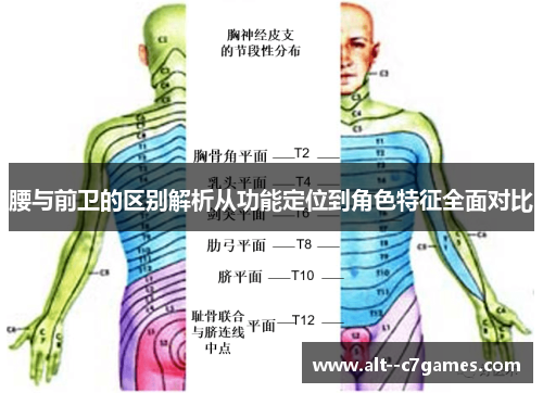 腰与前卫的区别解析从功能定位到角色特征全面对比 腰与前卫的区别解析从功能定位到角色特征全面对比